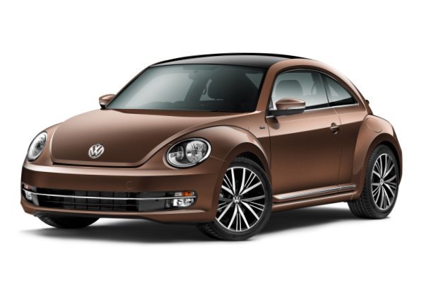 Beetle